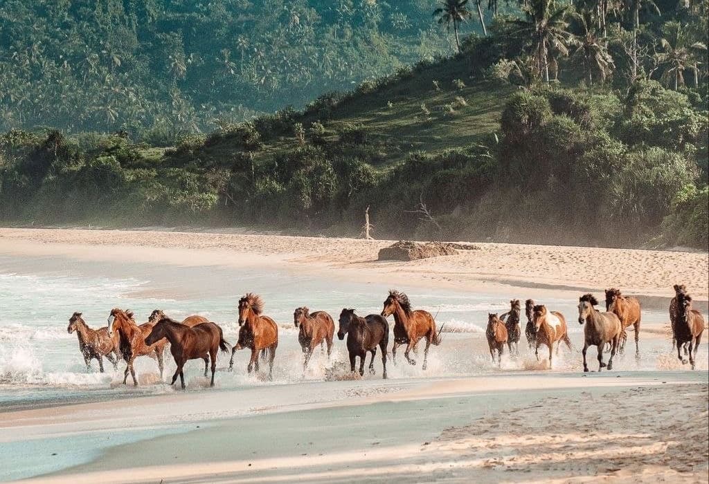 Paket Wisata Lombok 5 Hari 4 Malam (5D4N)